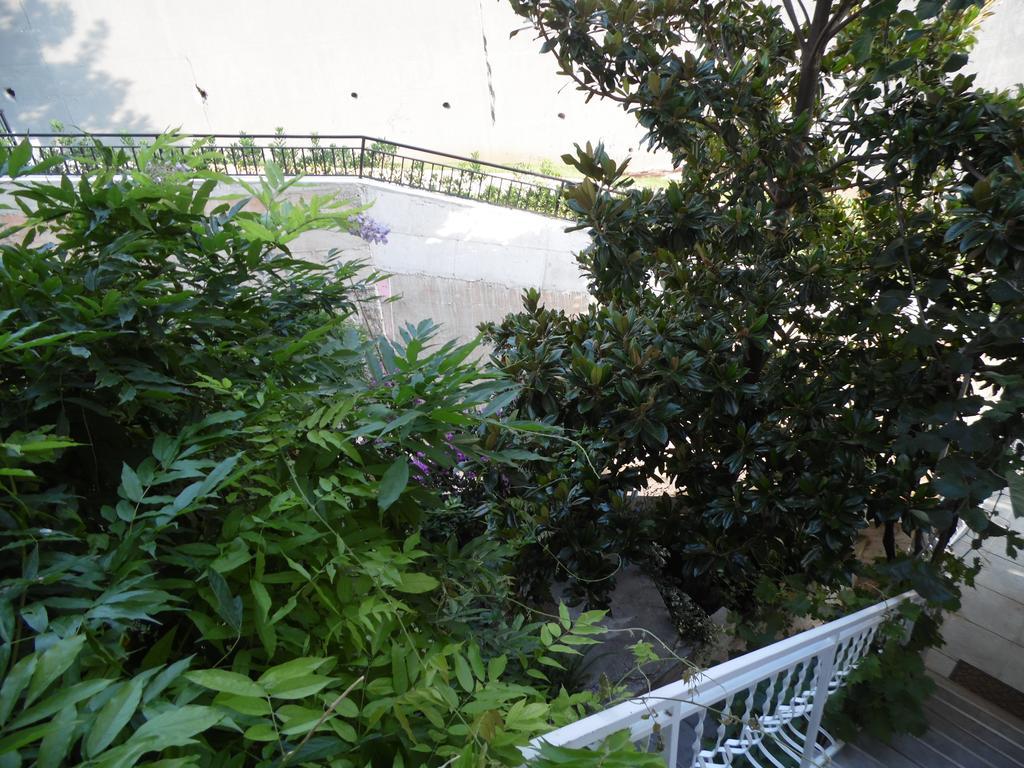 Apartments Slavica Jovanovic สเวติ สเตฟาน ห้อง รูปภาพ